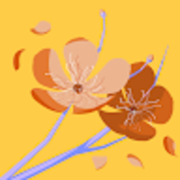 Meet your Posher, Michal - Picture 1 of 1